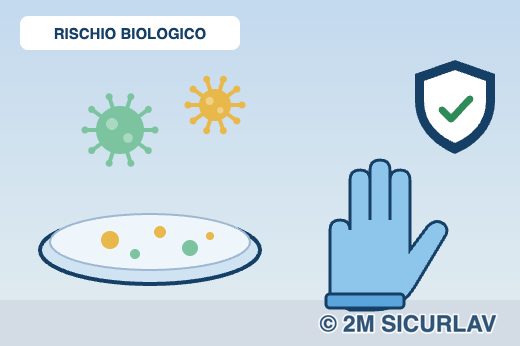 Microrganismi, piastra di coltura e guanto di protezione